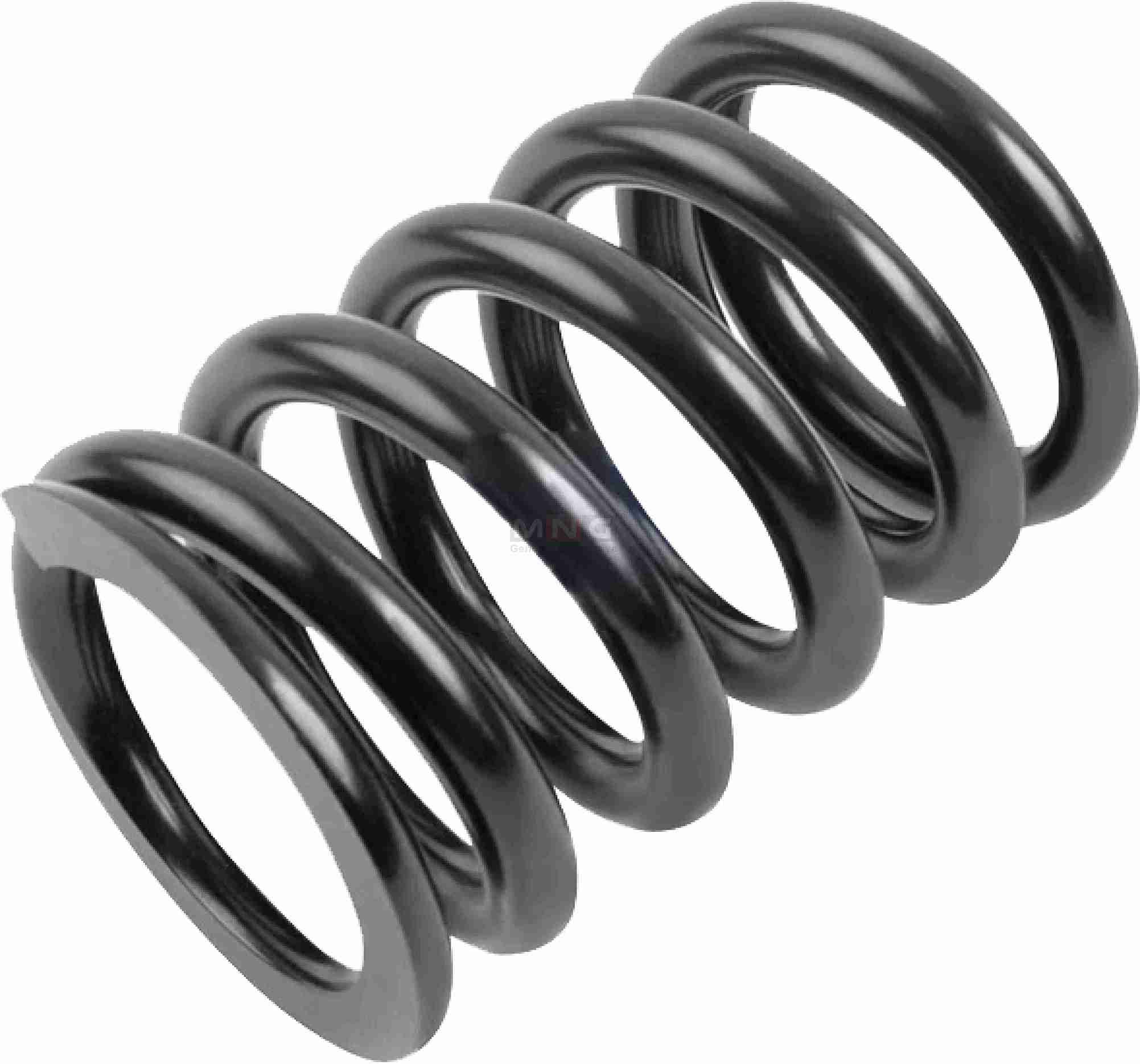 41019148-MNG-SPRING-IVECO