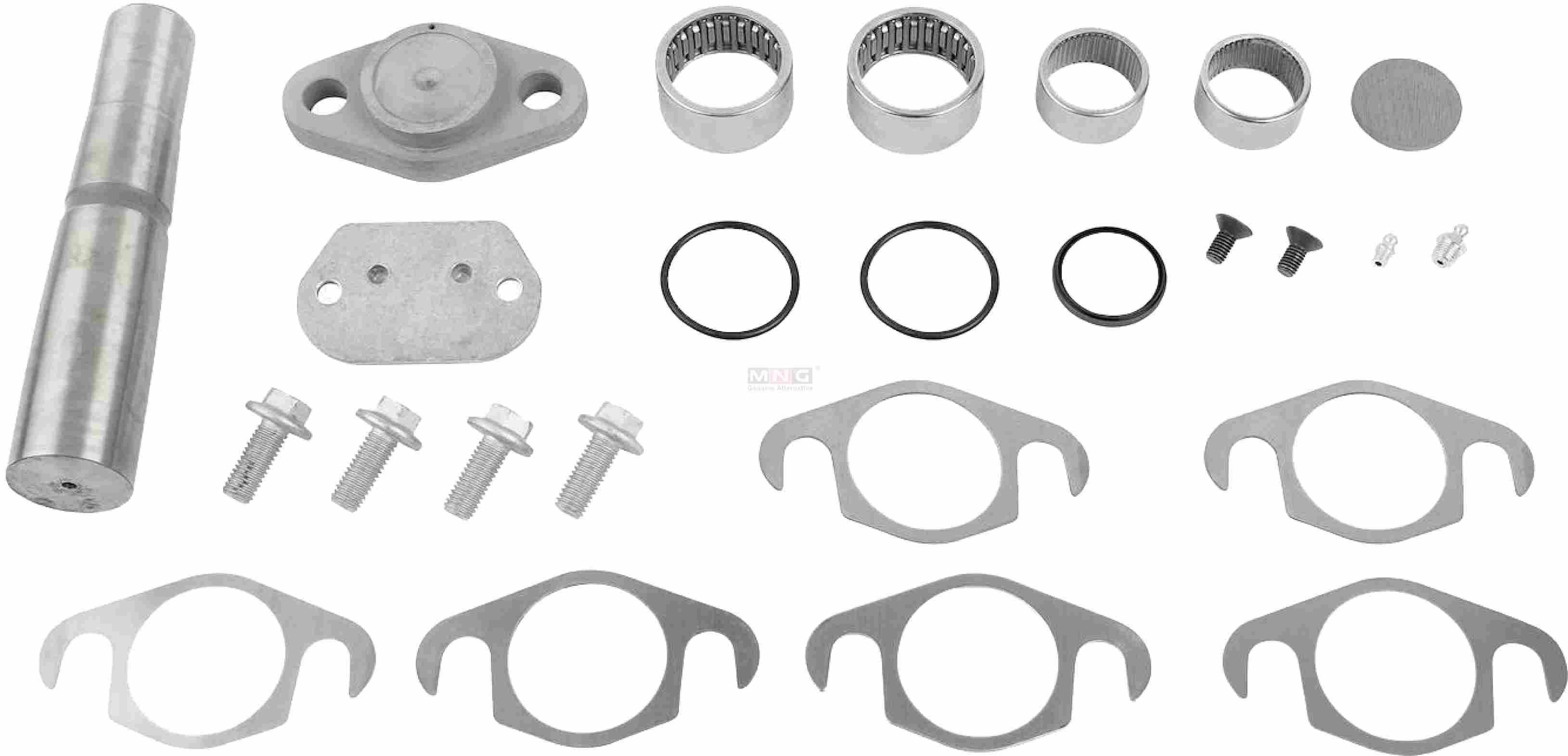 02995709-MNG-KING-PIN-KIT-IVECO